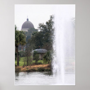 Die Domes im Park Poster