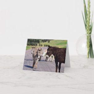 DIE DONKEY-GRUPPE SAGT GERADE...***GLÜCKLICHER GEB KARTE