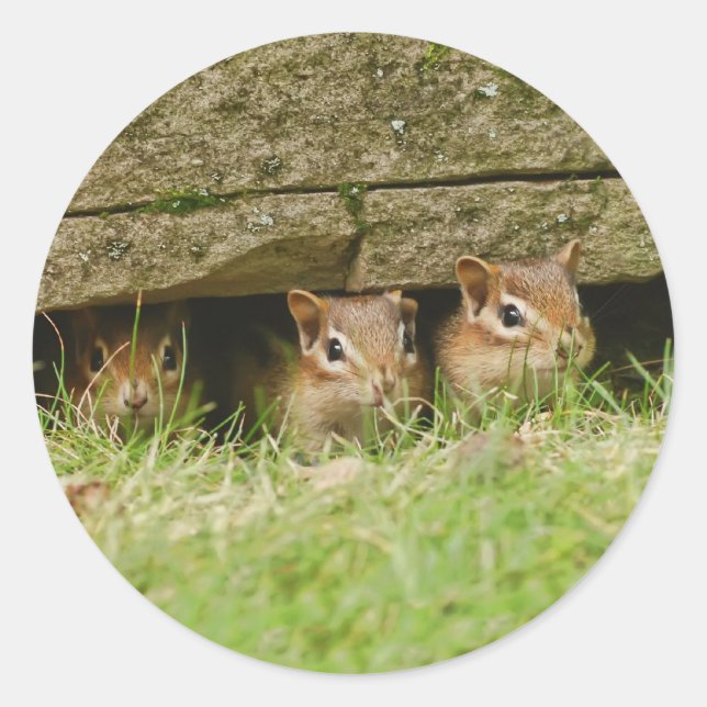 die drei Amigos Runder Aufkleber (Vorderseite)