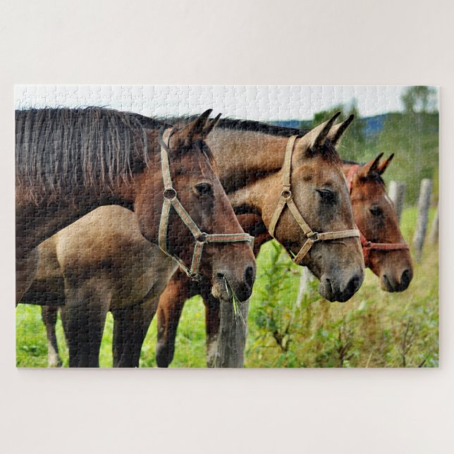 Die drei Amigos Staring-Freunde (Horizontal)