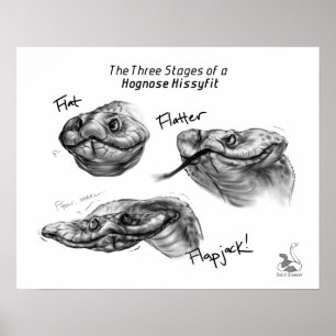 "Die drei Bühnen von einem Hognose Hissyfit " Poster