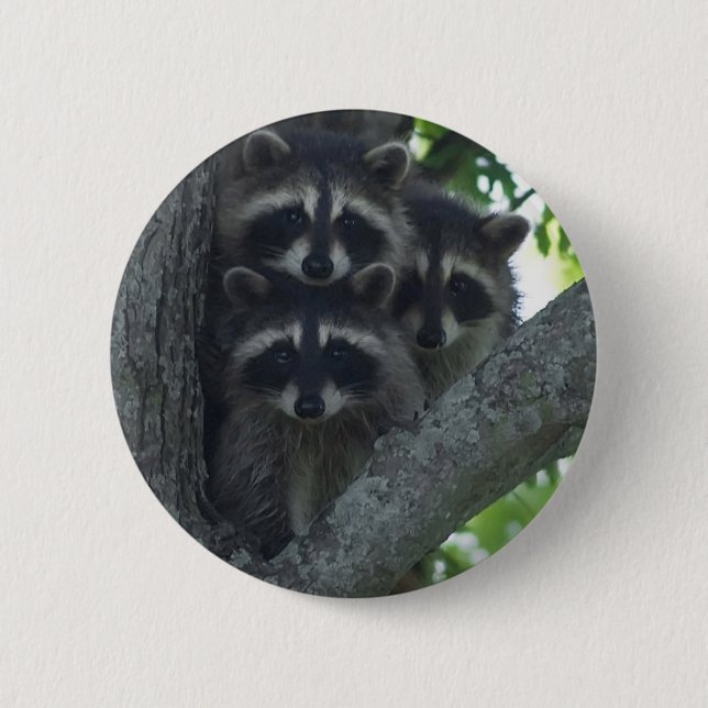 Die drei Freunde Button (Vorderseite)