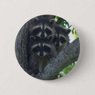 Die drei Freunde Button