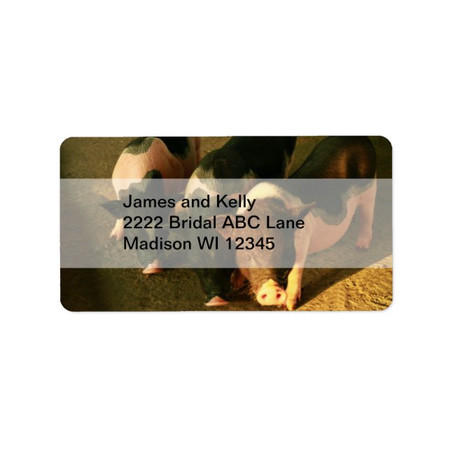 Die drei kleinen Schweine Adressaufkleber (Vorne)