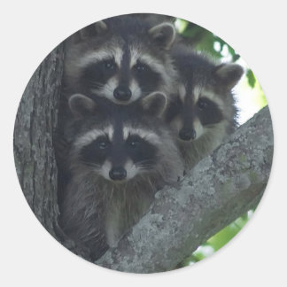 Die drei Ziele Runder Aufkleber