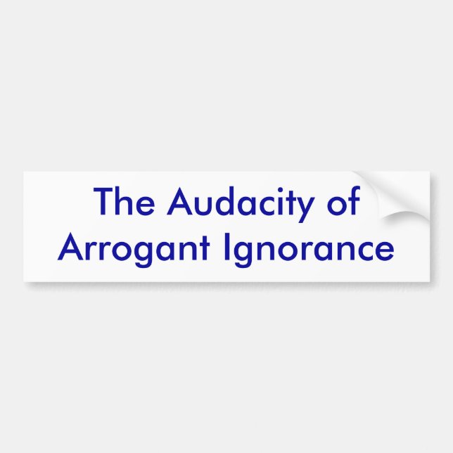 Die Dreistigkeit der arroganten Ignoranz Autoaufkleber (Vorne)