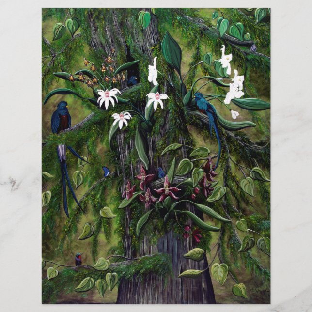 Die Dschungel von Tikal (Vorderseite)