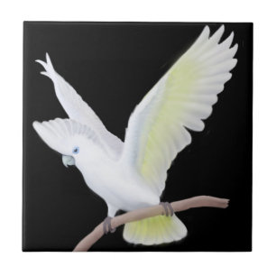 Die DuCorps Cockatoo-Papageien-Fliese Fliese
