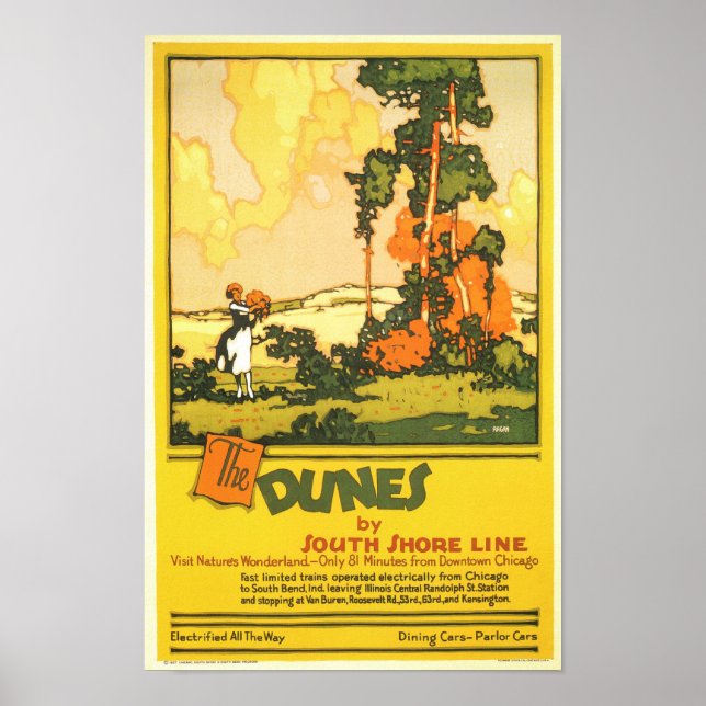 Die Dünen - das Wunderland der Natur besuchen Poster (Vorne)