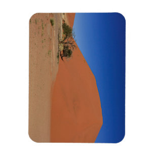 Die Dünen des Sossusvlei in Namibia Magnet