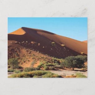 Die Dünen des Sossusvlei in Namibia Postkarte
