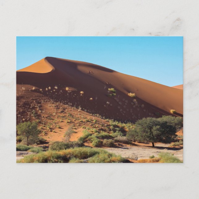 Die Dünen des Sossusvlei in Namibia Postkarte (Vorderseite)