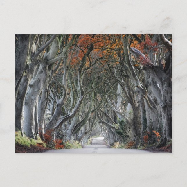 DIE DUNKEN, BALLYMONEY, IRLAND POSTKARTE (Vorderseite)