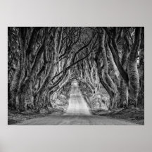 DIE DUNKEN HABEN, CO. ANTRIM, NORDIRLAND
