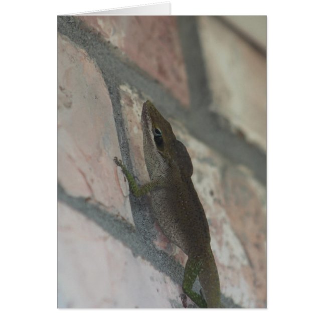 Die dunkle Eidechse (Vorne)