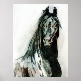 Die dunkle Schönheit Poster