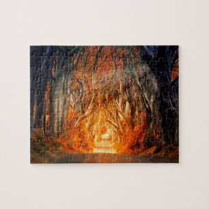 Die dunklen Hecken Antrim Irland.