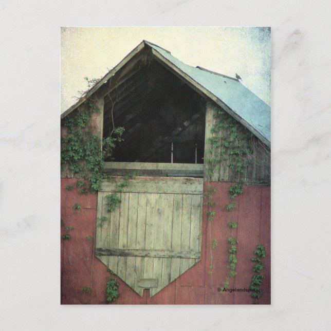 Die Efeu-Scheune Postkarte (Vorderseite)