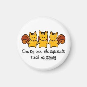 Die Eichhörnchen stehlen meine Vernunft Magnet