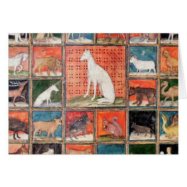 Die Eigenschaften der Tiere: Die Säugetiere (Vorderseite (Horizontal))