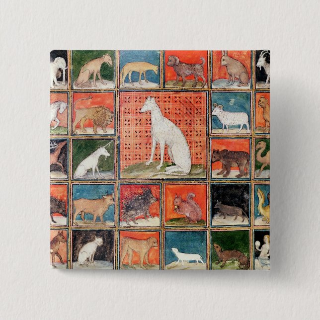 Die Eigenschaften der Tiere: Die Säugetiere Button (Vorderseite)