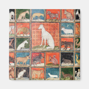Die Eigenschaften der Tiere: Die Säugetiere Magnet