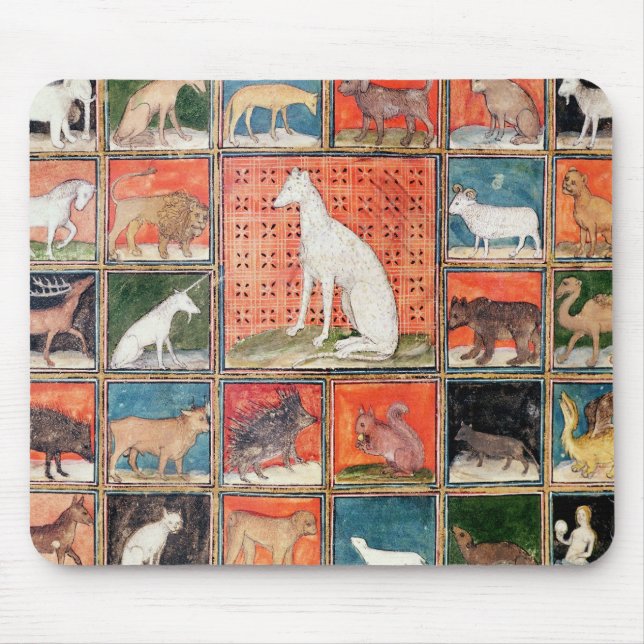 Die Eigenschaften der Tiere: Die Säugetiere Mousepad (Vorne)