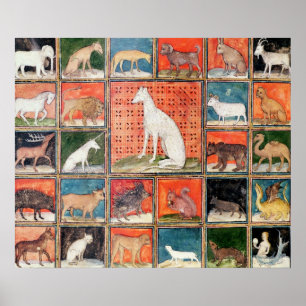 Die Eigenschaften der Tiere: Die Säugetiere Poster