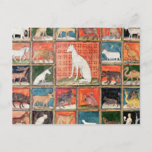 Die Eigenschaften der Tiere: Die Säugetiere Postkarte