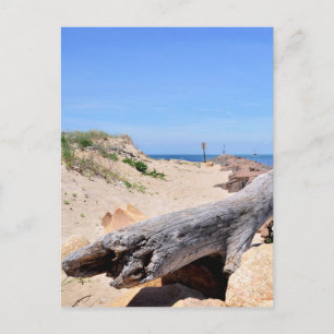 Die Einfahrt am Montauk Point Postkarte