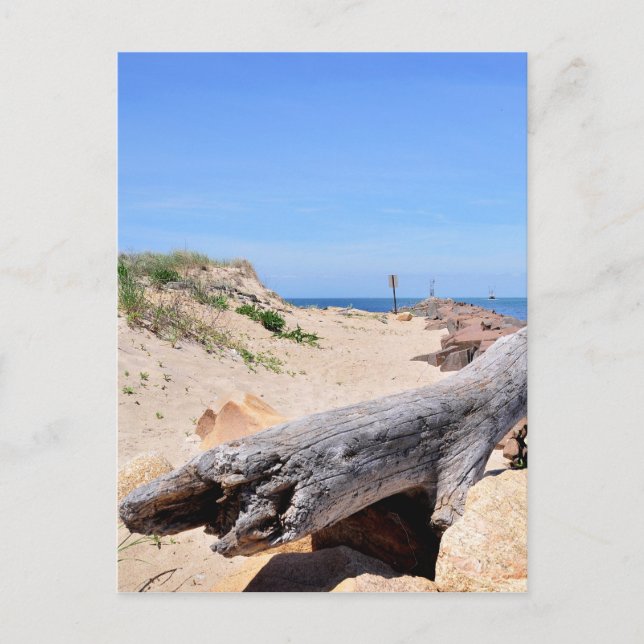 Die Einfahrt am Montauk Point Postkarte (Vorderseite)