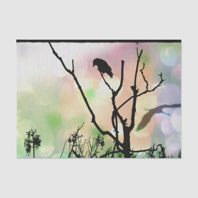 Die einsame Klaue Seidenpapier (Vorderseite)