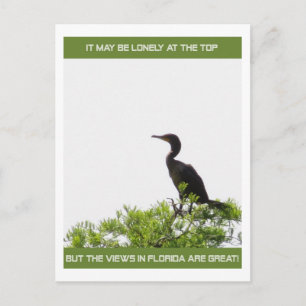 Die einsame Lage an der oberen Florida Post Card Postkarte