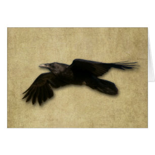 "Die einzige Krähen-" Karte