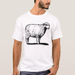 Die einzigen Schafe T-Shirt