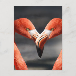 Die eleganten Vögel - das Symbol der Liebe Postkarte