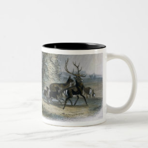 Die Elkhorn Pyramide auf dem oberen Missouri, Zweifarbige Tasse