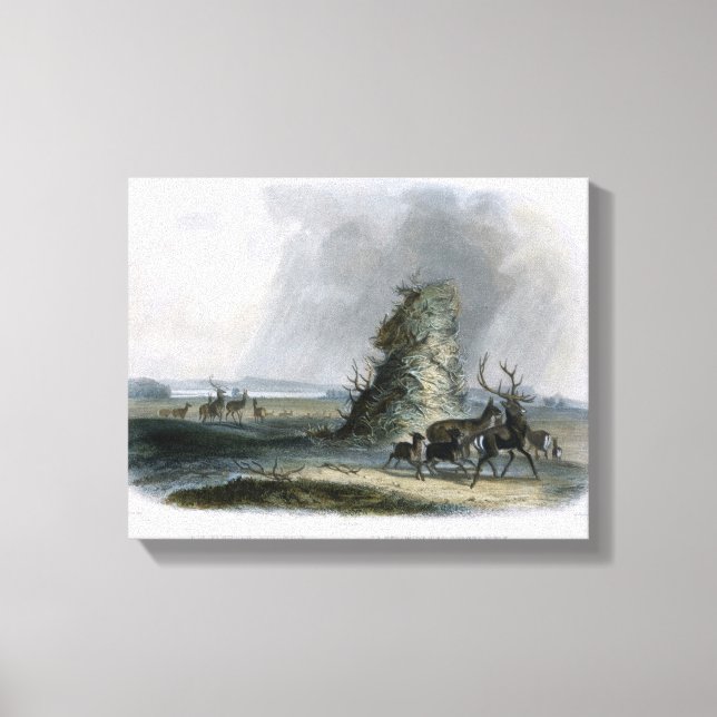 Die Elkhorn-Pyramide im oberen Missouri, Platte 2 Leinwanddruck (Vorderseite)