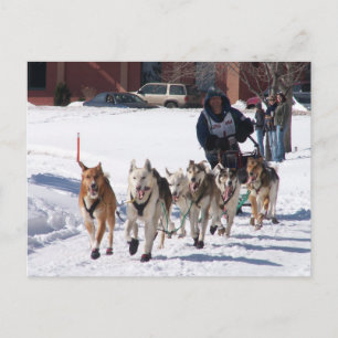 Die endgültige Postkarte