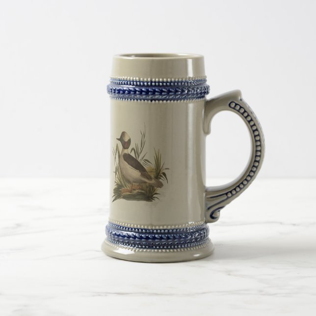 Die Ente mit Büffelkopf (Fuligula albeola) Bierglas (Rechts)
