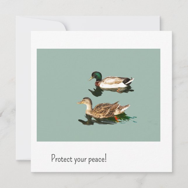 Die Enten. Schützen Sie Ihren Frieden (Vorderseite)