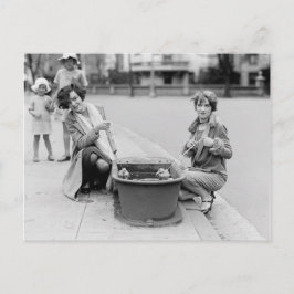 Die Enten zum Schwimmen mitnehmen Postkarte