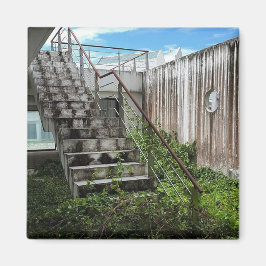 Die Entwicklung von Real Anwesen wurde eingestellt Magnet