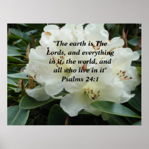 Die Erde ist das Lords ~Print~ Poster