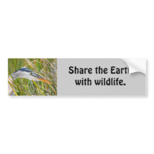 Die Erde mit Wildtieren teilen