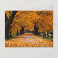 Die Erinnerungsstrecke des Herbstes herunterlaufen