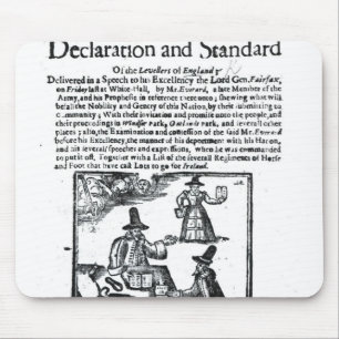Die Erklärung und der Standard der Planierer Mousepad