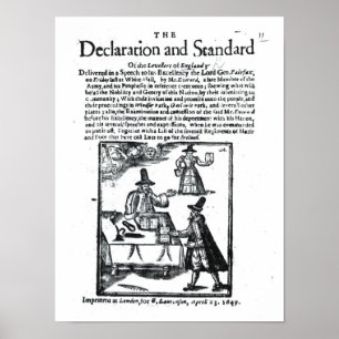 Die Erklärung und der Standard der Planierer Poster
