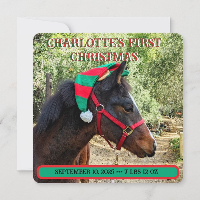 Die erste Geburtserklärung des Babys zu Weihnachte (Vorderseite)