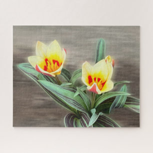 Die ersten Tulpen